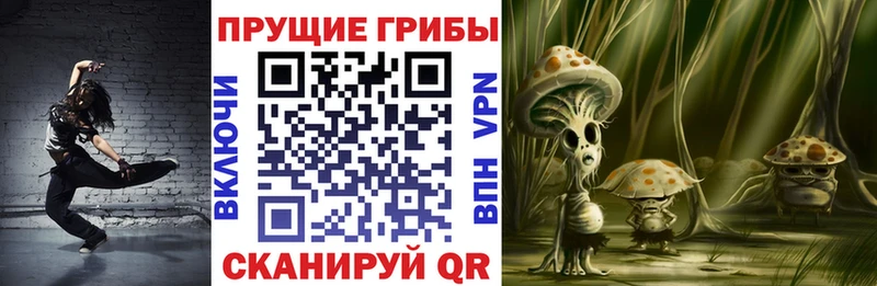 как найти закладки  Каменск-Шахтинский  Галлюциногенные грибы Psilocybe 